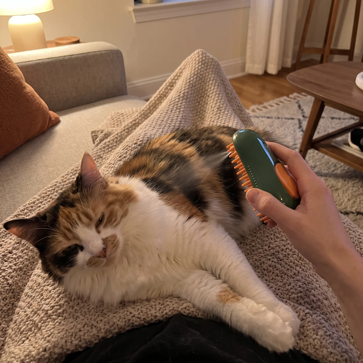 Calico cat relaxing on its owner’s lap while being brushed with a green avocado cat steam brush