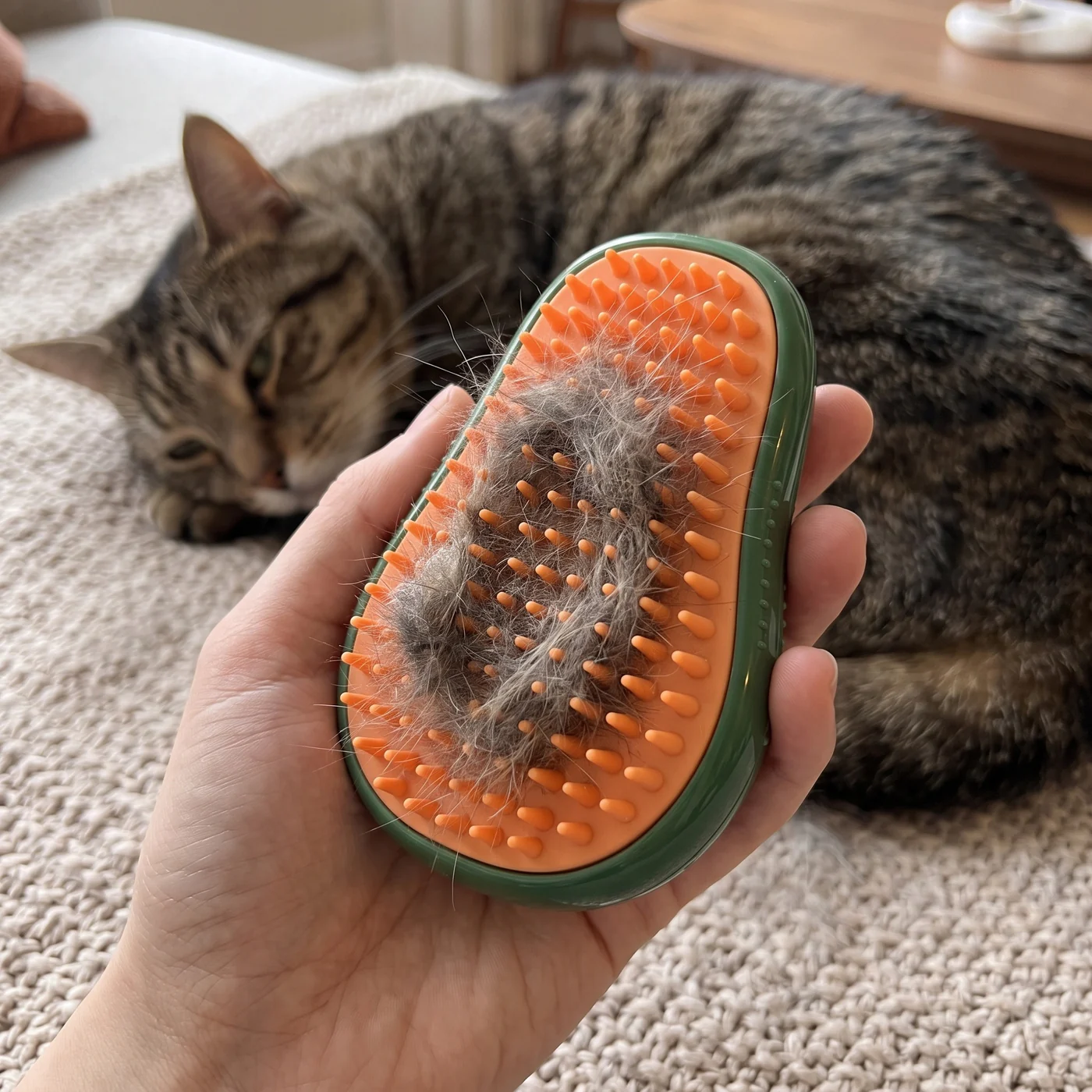 A clump of loose cat fur caught in the orange silicone teeth of The Avocado cat grooming brush