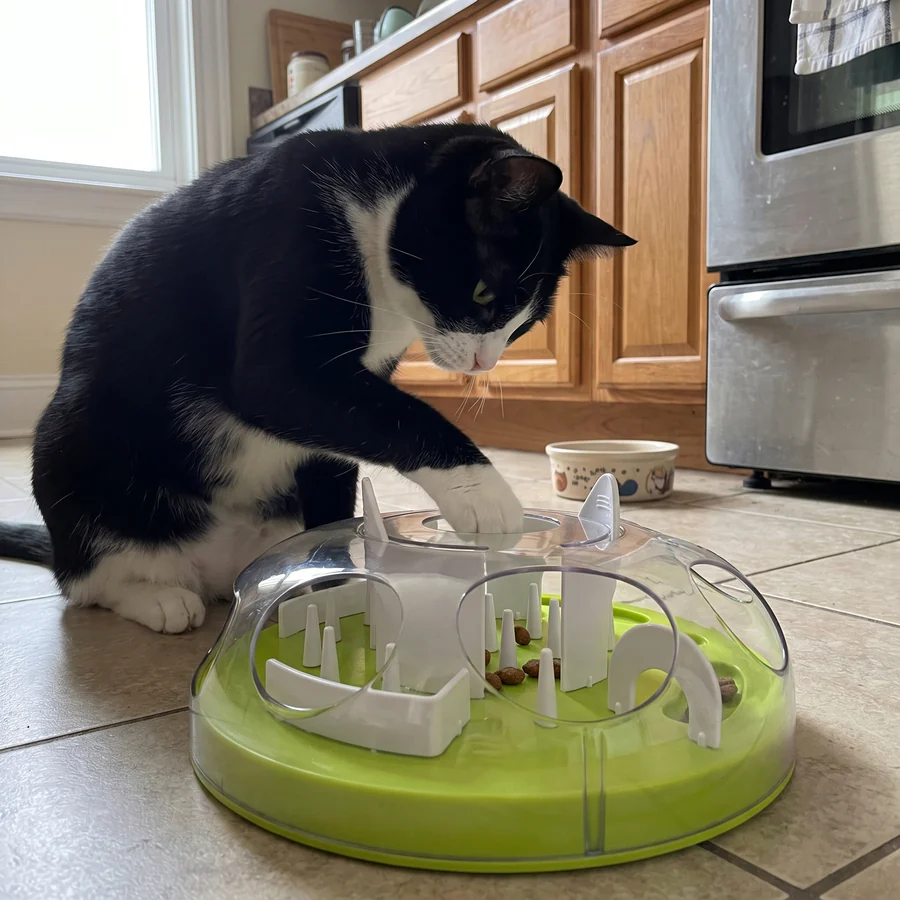 The Forage Puzzle, treat puzzle feeder
