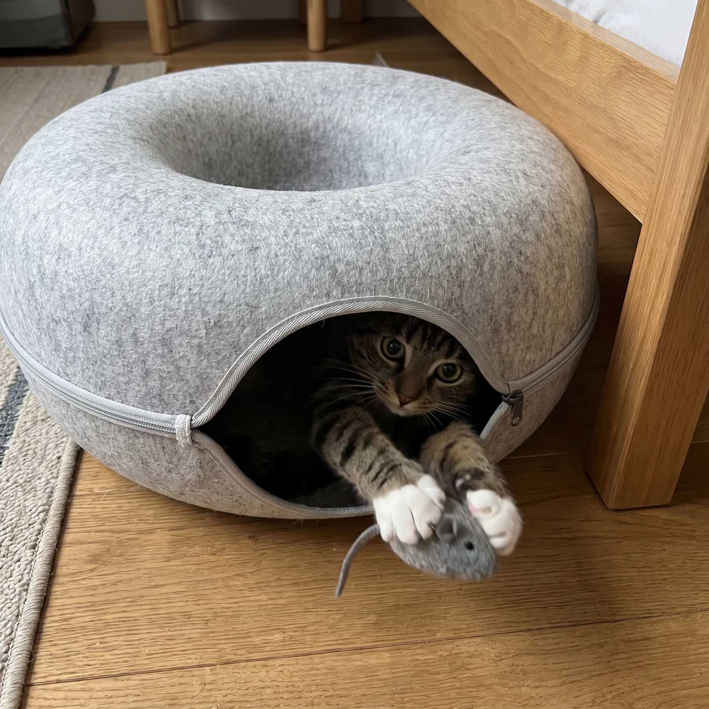 Cat paws shooting out of a felt cat tunnel bed to catch a toy mouse