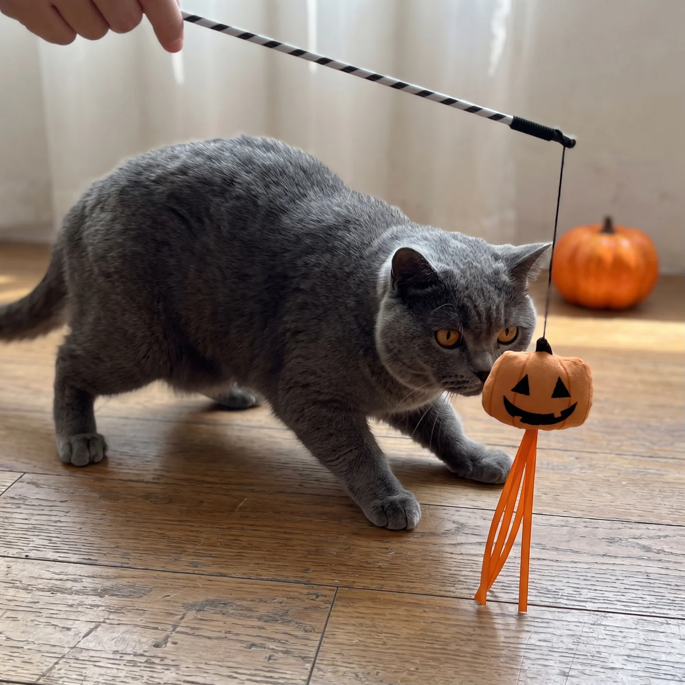 The Pumpkin Wand, halloween teaser wand, part of The Haunted House Set