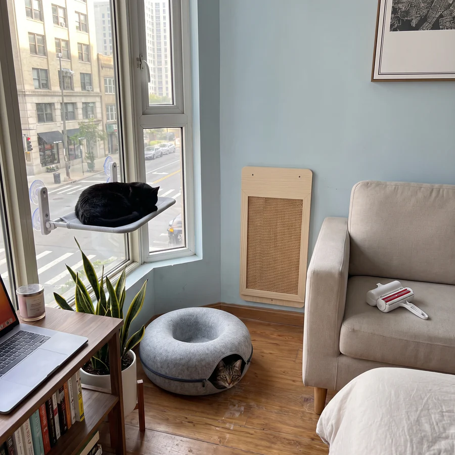 A cat window perch, a wall scratcher, a felt cat cave and a pet hair roller in a small studio apartment: the Apartment Cat Kit