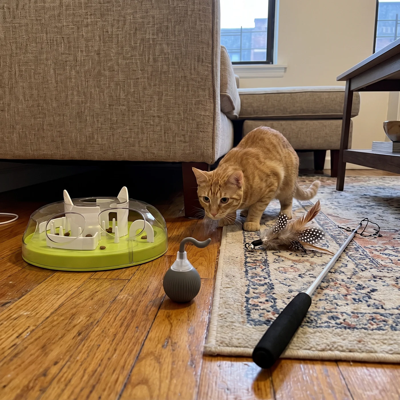 A ginger cat stalking a self-rolling toy ball next to a feather wand and a puzzle feeder: the Indoor Hunter Kit