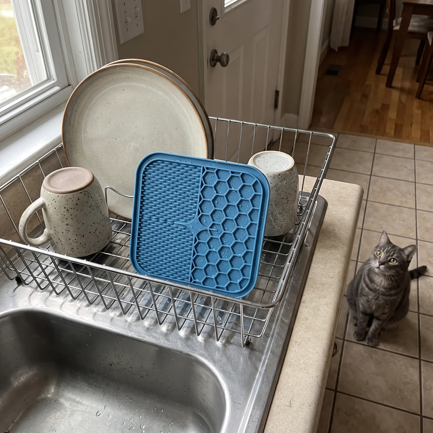 Washed blue cat lick mat drying in a dish rack