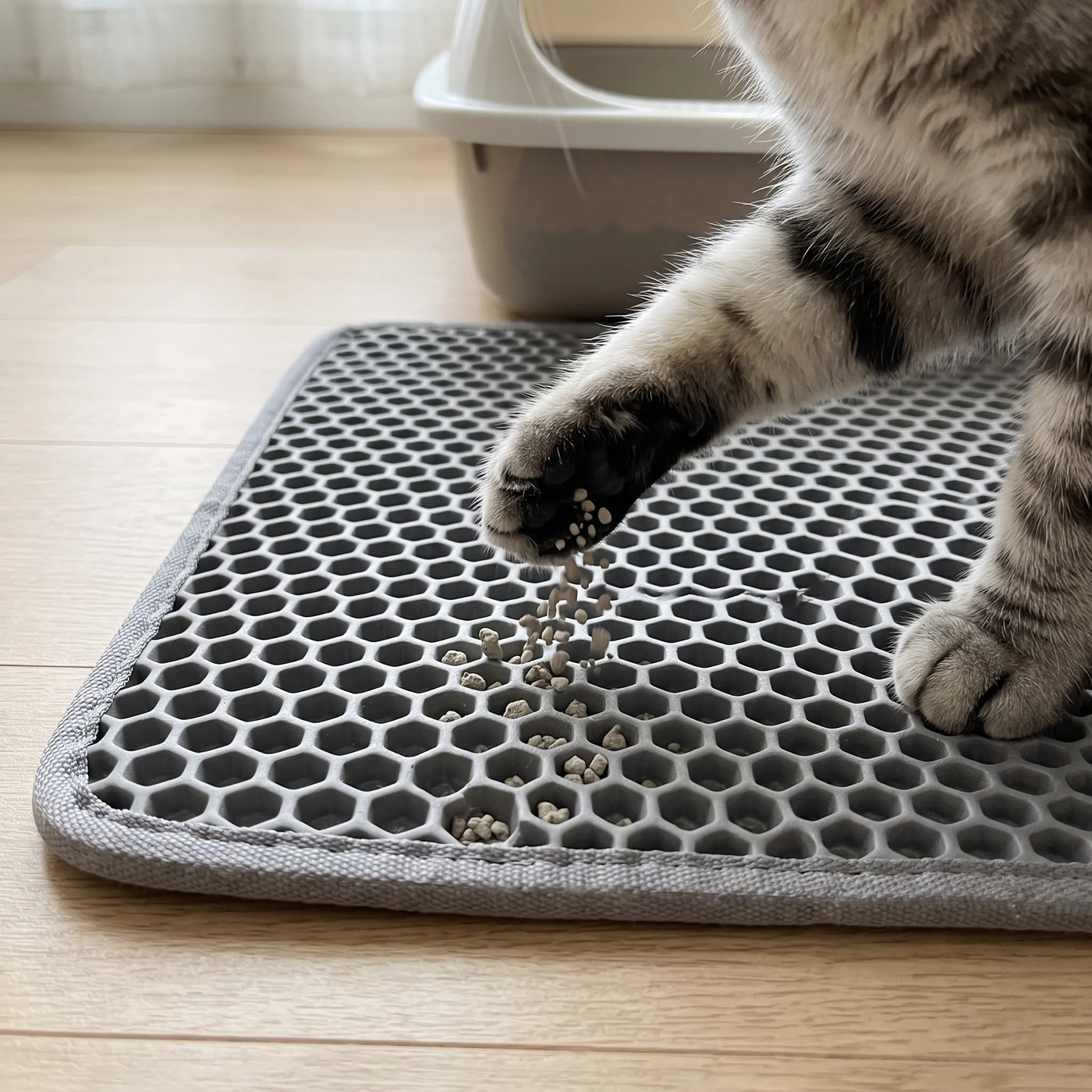 Cat paw stepping on The Landing Pad honeycomb cat litter mat as litter falls into the holes