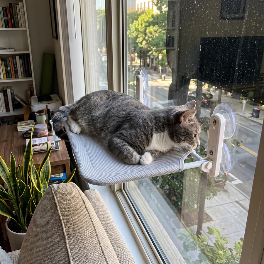 The Lookout, window perch