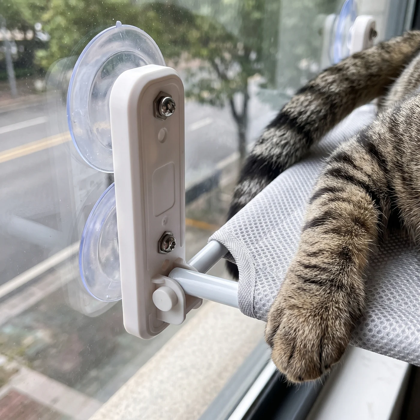 Close-up of the cat window perch bracket: two large suction cups on the glass, steel frame and grey mesh bed