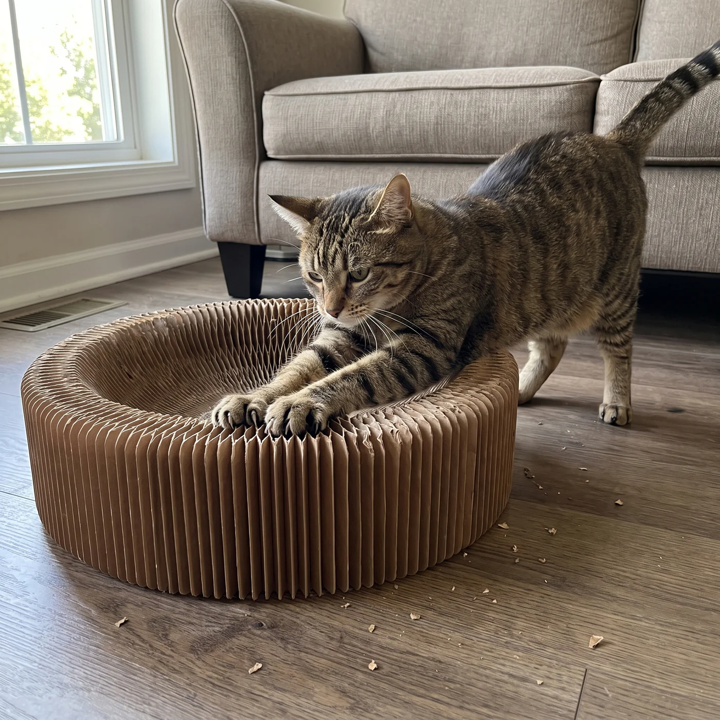 Tabby cat scratching the rim of a round cardboard cat scratcher lounge instead of the sofa