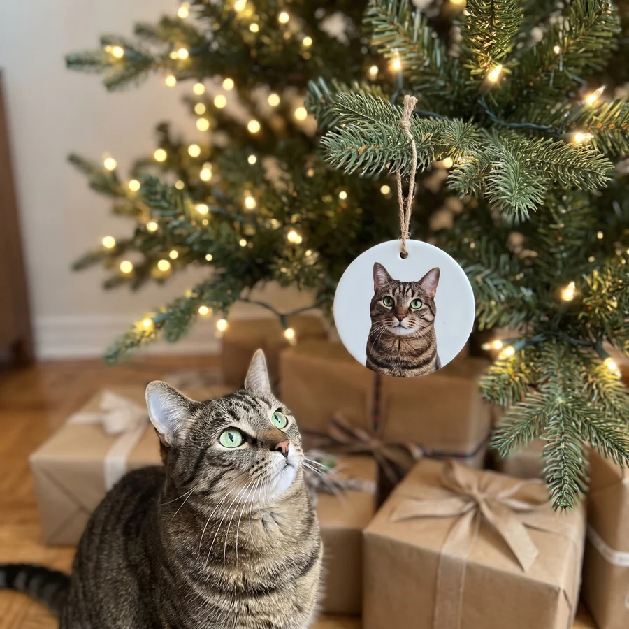 The Portrait Ornament: a round white porcelain ornament printed with a photo of a tabby cat, hanging on a Christmas tree, with the same cat looking up at it