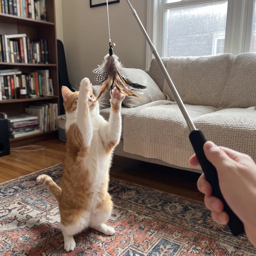 The Hunt Wand, feather wand set