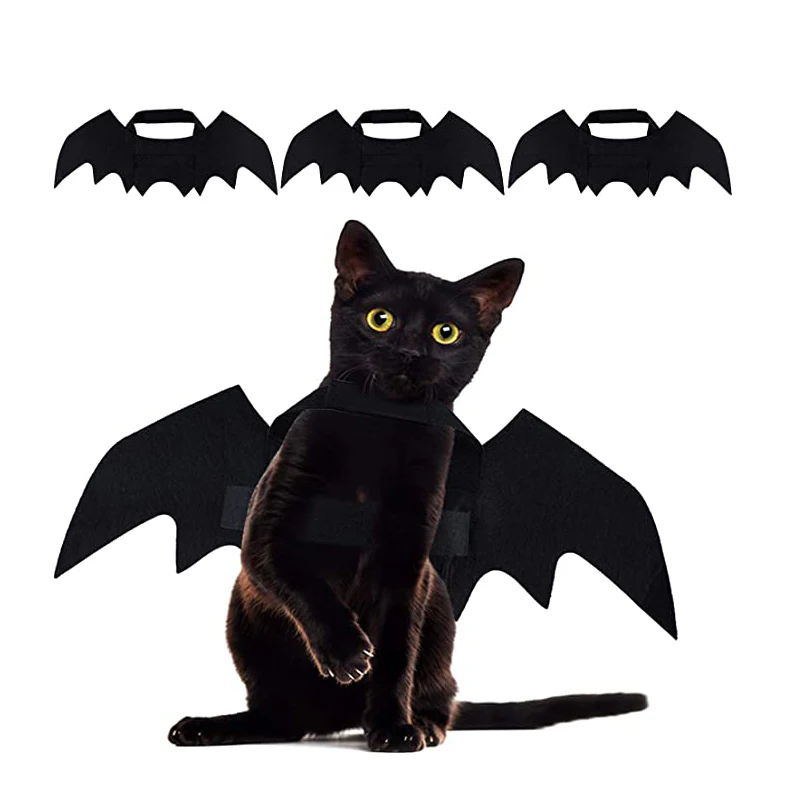 Black cat sitting up in black felt bat wings