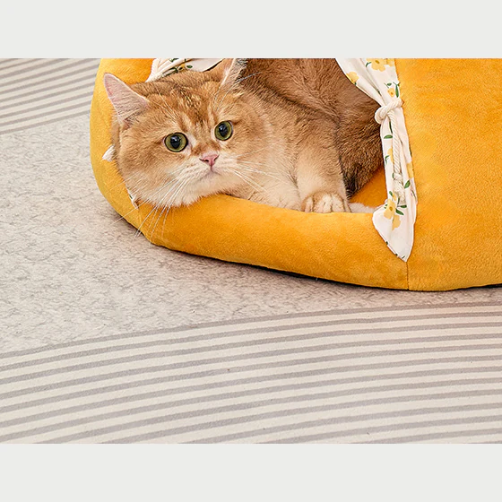 Cat peeking out of a yellow pumpkin cat bed
