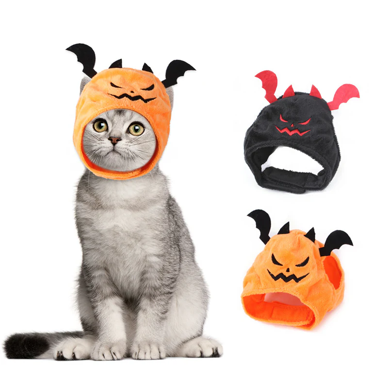 Kitten wearing an orange jack-o’-lantern hood with black bat wings