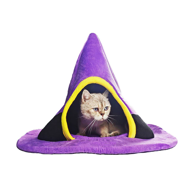 Cat inside a purple witch hat cat bed with a yellow-trimmed doorway