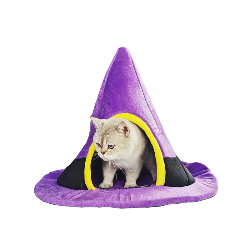 Cat looking out of the arched doorway of a witch hat shaped cat house